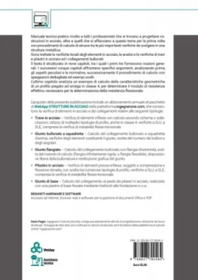 Elementi in acciaio. Le verifiche locali Elementi in acciaio. Le verifiche locali