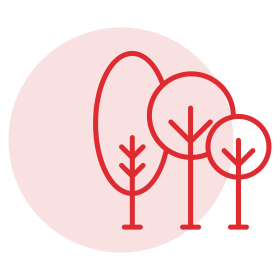 Ecosostenibili
