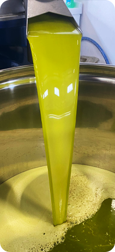 Manuale tecnico per lo strutturista