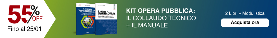 Promozione Opera Pubblica: Manuale e Collaudo al 55%